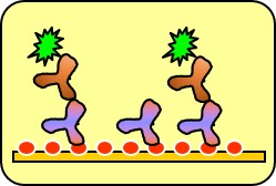 ELISA-like assay